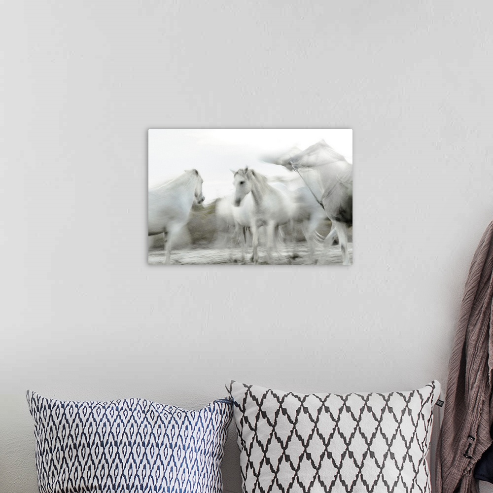 A bohemian room featuring Photograph of white horses in gray and white hues with a motion blur.