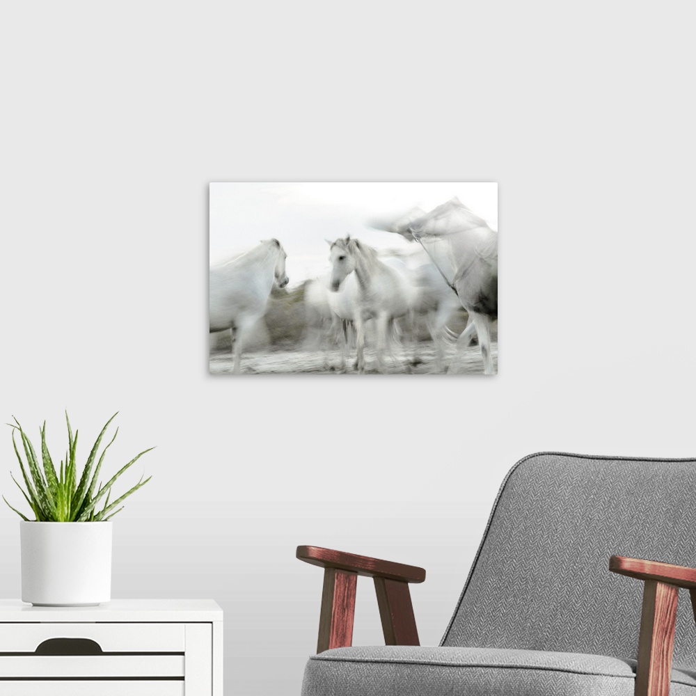 A modern room featuring Photograph of white horses in gray and white hues with a motion blur.