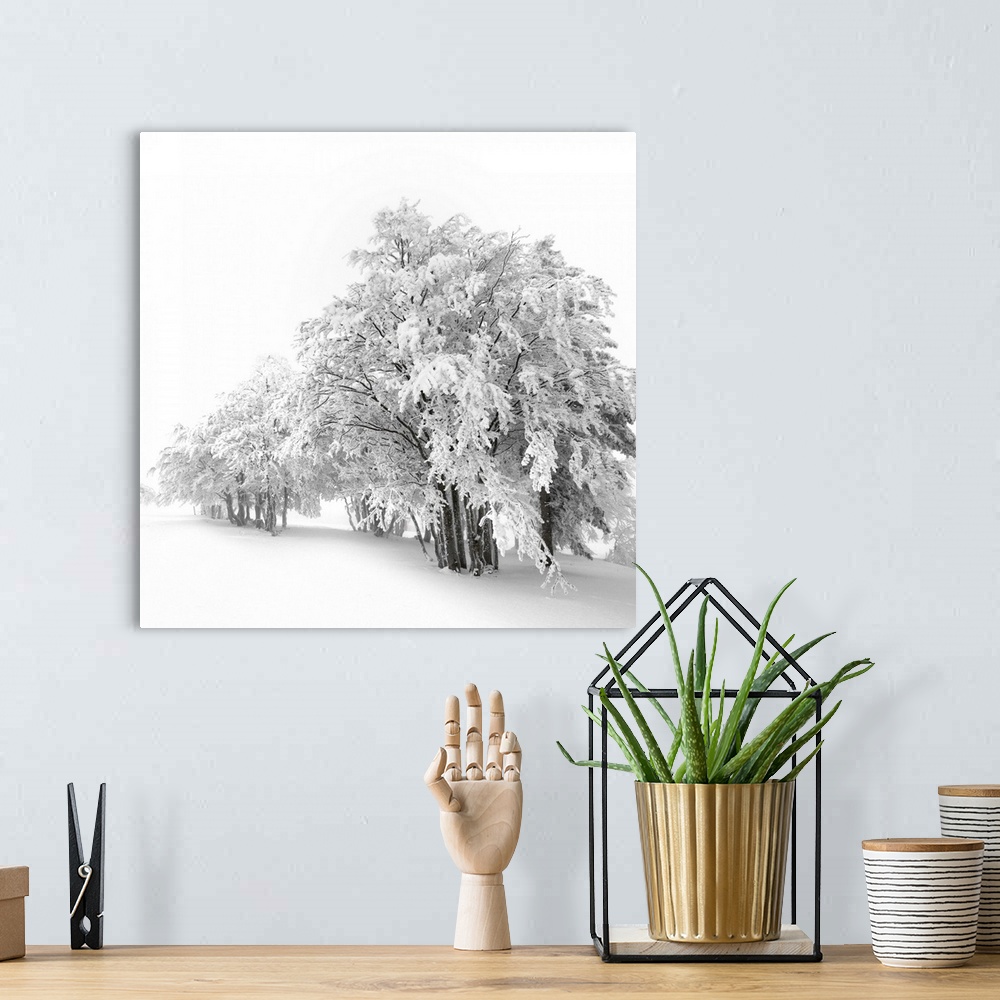 A bohemian room featuring A total winter white out with the trees covered in snow
