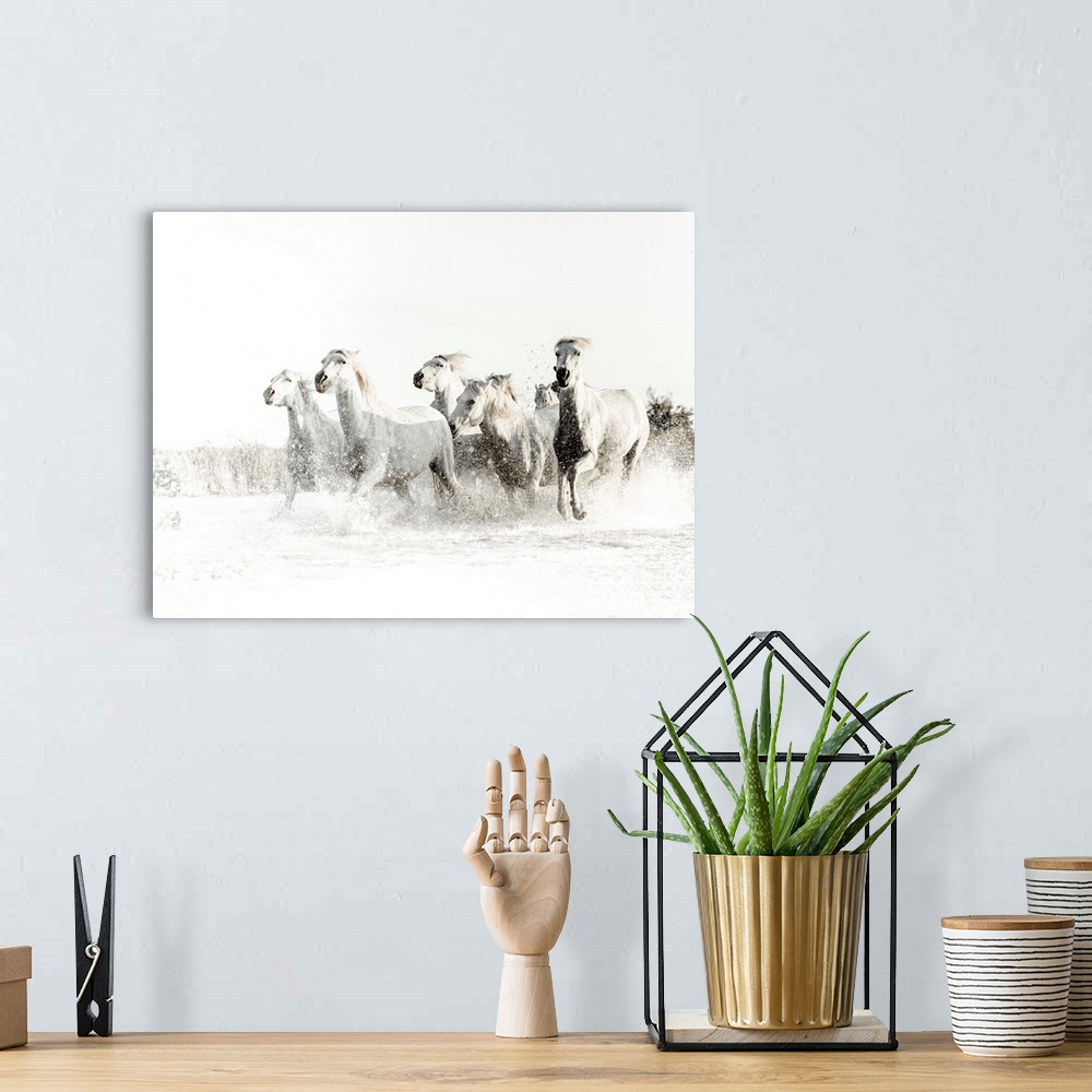 A bohemian room featuring Action photograph of white horses running through water with a blown out white background.