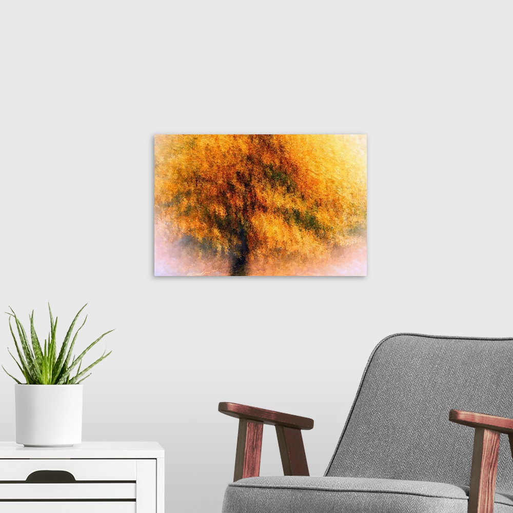 A modern room featuring Wild Apple Tree