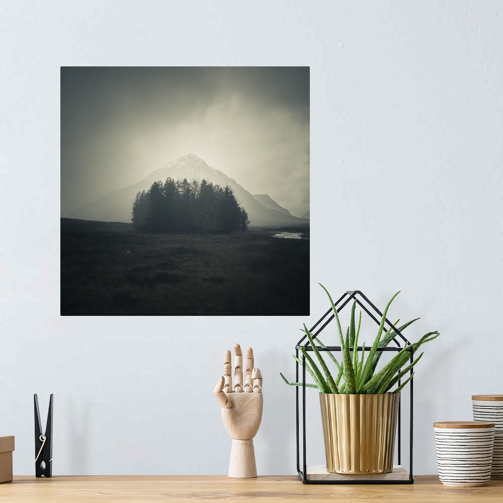 A bohemian room featuring A photograph of a group of trees huddled together with a view of a mountain shrouded by fog in th...