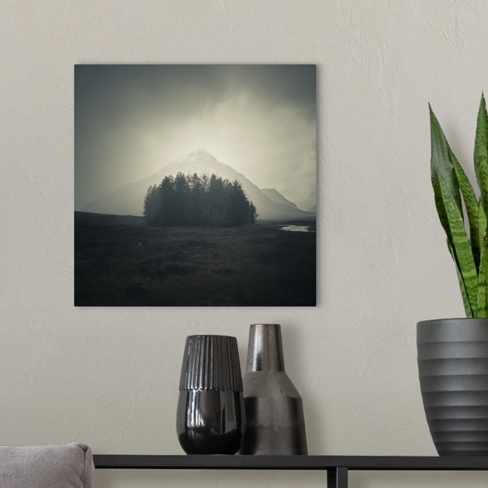 A modern room featuring A photograph of a group of trees huddled together with a view of a mountain shrouded by fog in th...