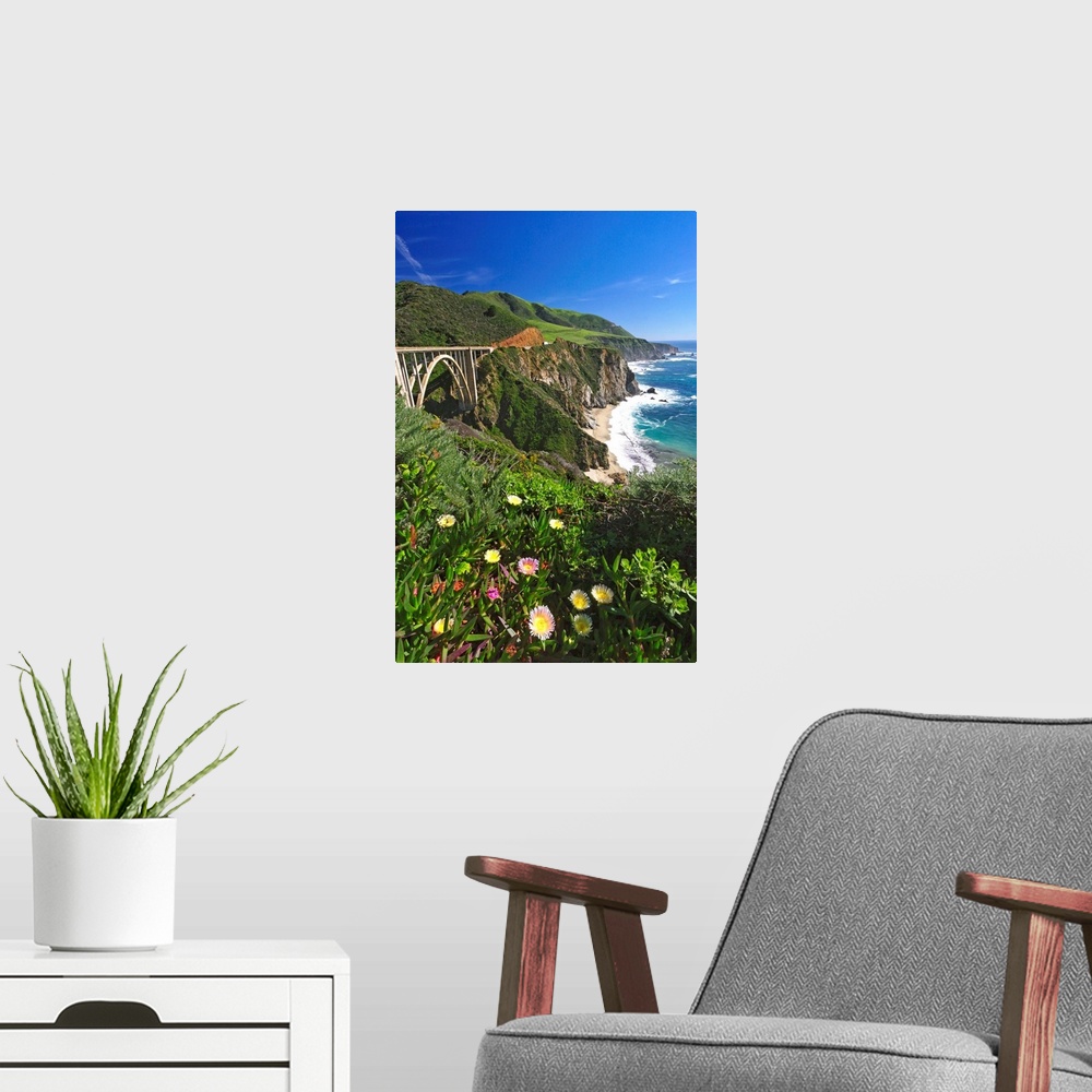 A modern room featuring Wildflower Bloom at the Bixby Bridge, Big Sur Coast, California