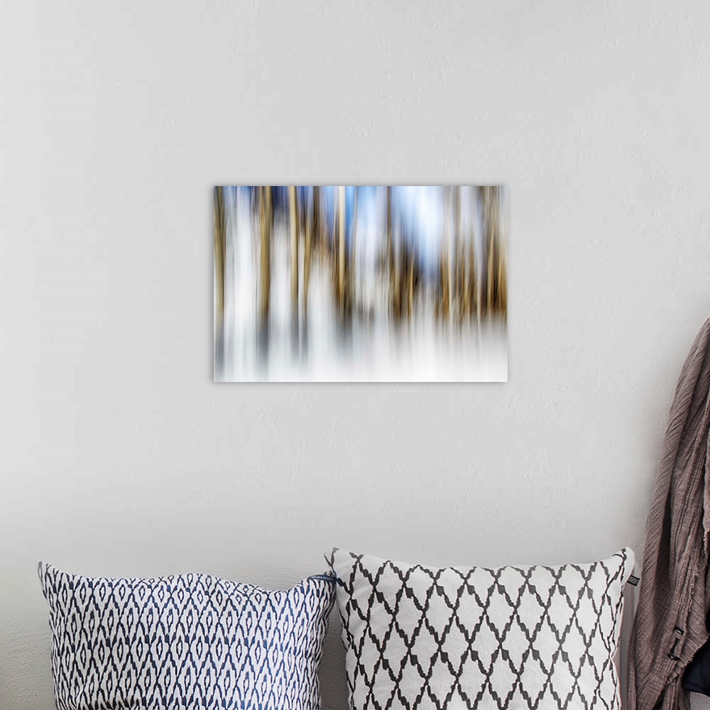 A bohemian room featuring Abstract blurred photograph of a forest of white birch trees.
