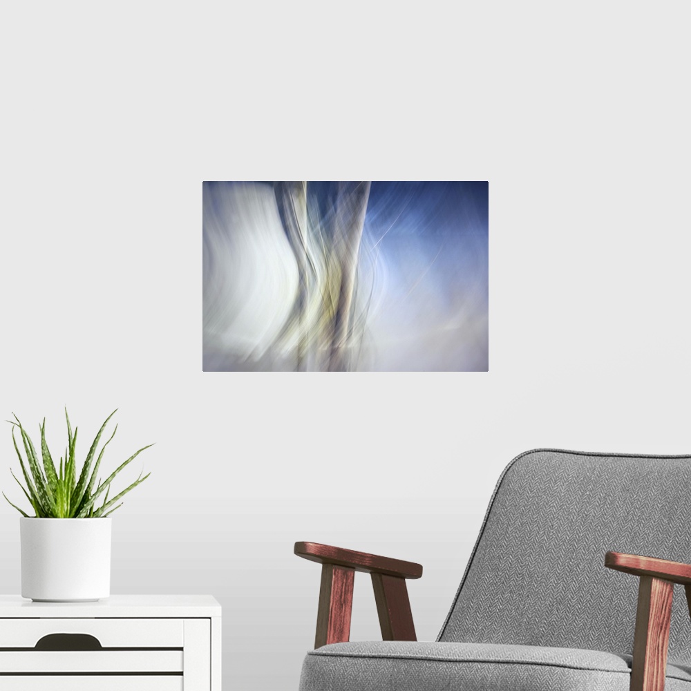 A modern room featuring Abstract image of a group of birches by Lower Arrow lake in British Columbia, Canada, giving the ...
