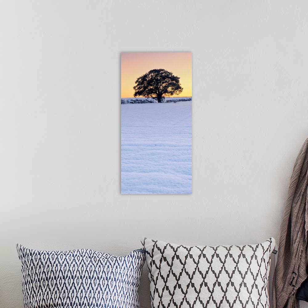 A bohemian room featuring A vertical panorama of a winter leafless tree against a golden yellow gold sky in snow.