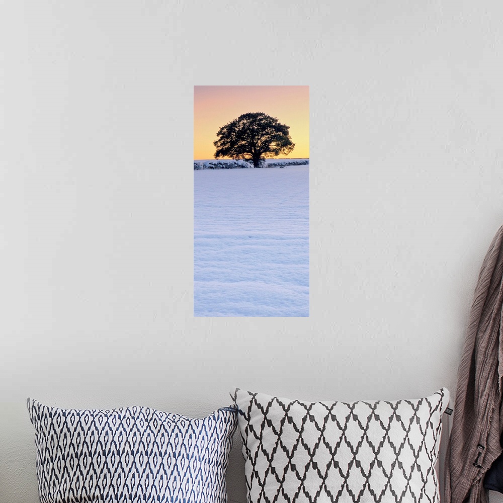 A bohemian room featuring A vertical panorama of a winter leafless tree against a golden yellow gold sky in snow.