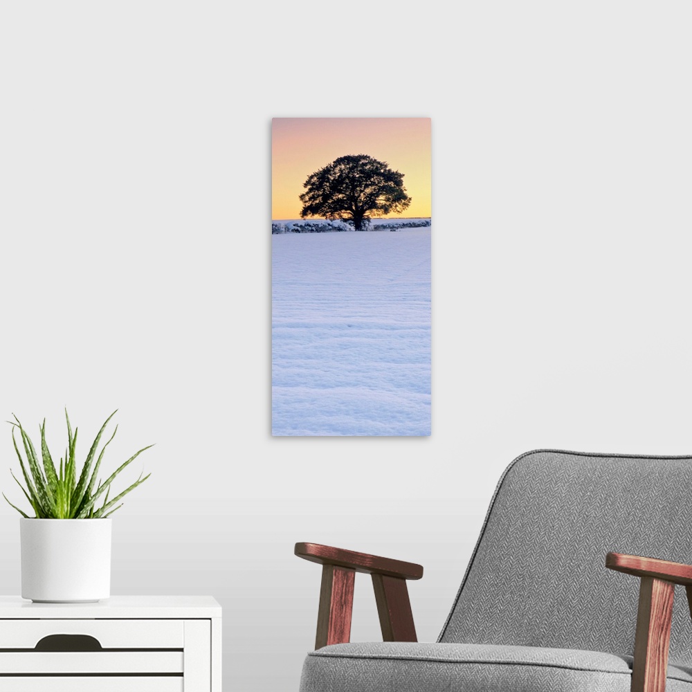 A modern room featuring A vertical panorama of a winter leafless tree against a golden yellow gold sky in snow.