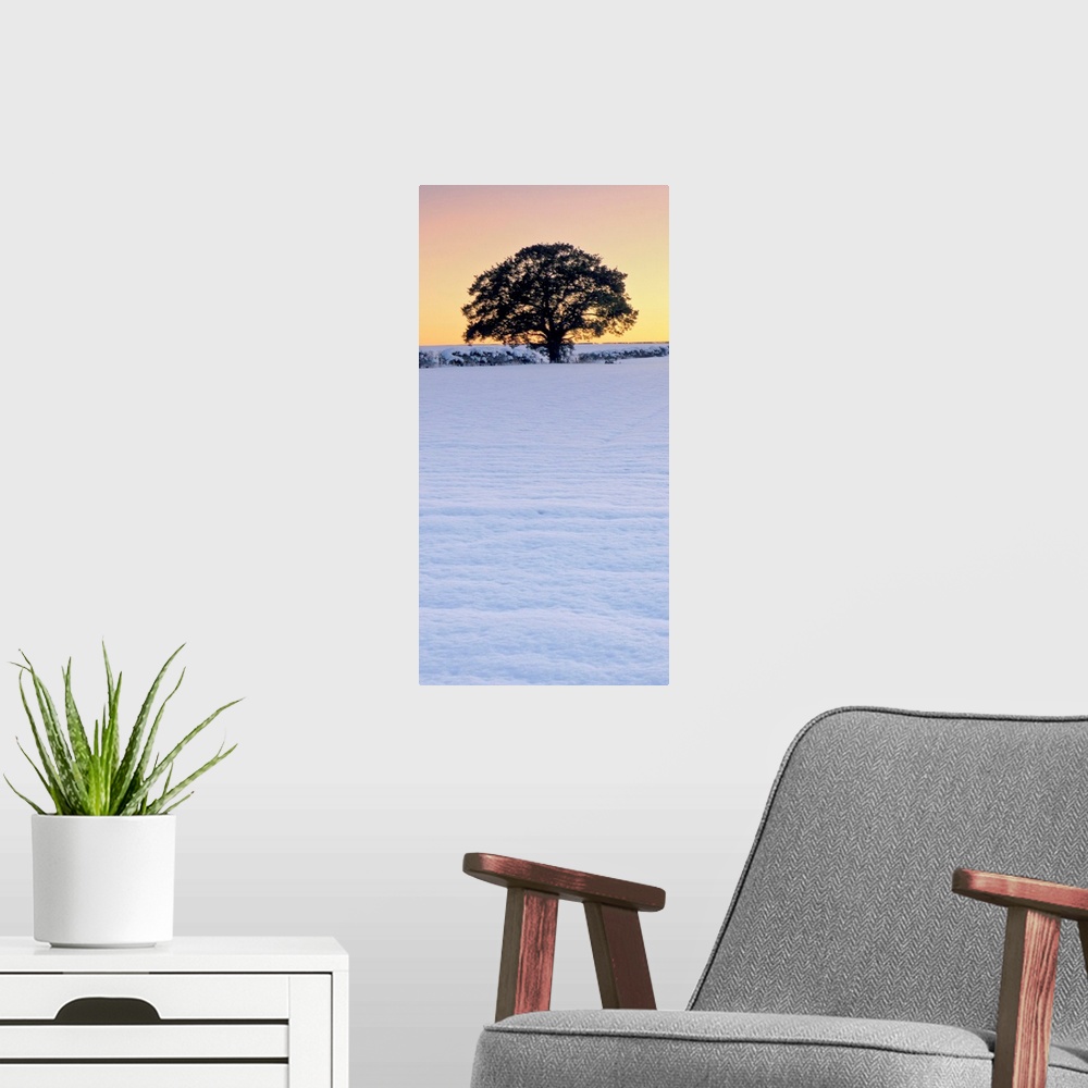 A modern room featuring A vertical panorama of a winter leafless tree against a golden yellow gold sky in snow.