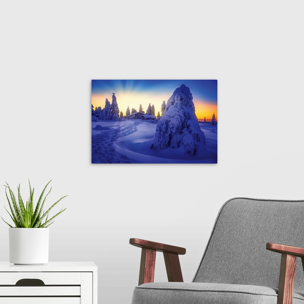 A modern room featuring Sunset in the snowy mountain with fir trees and a hut
