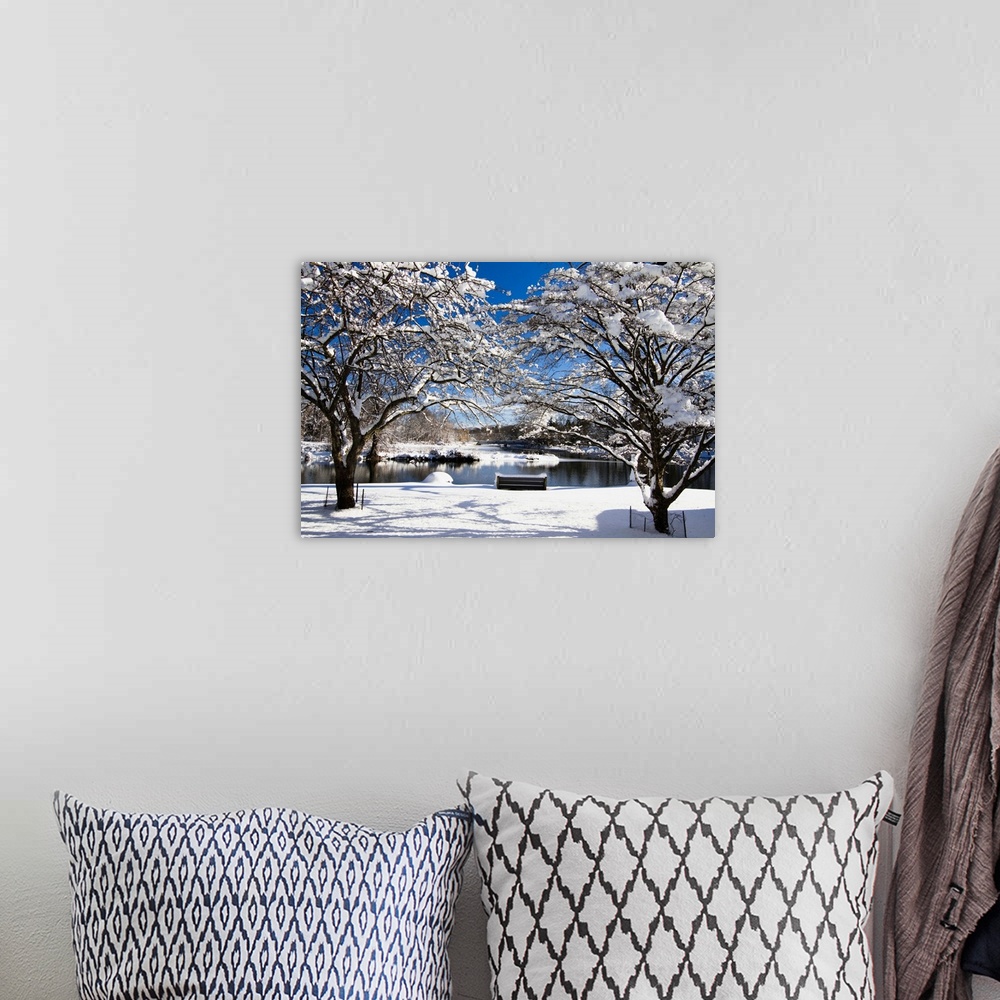 A bohemian room featuring Snow covered trees, winter scenic, South Branch of Raritan River, Clinton, New Jersey.