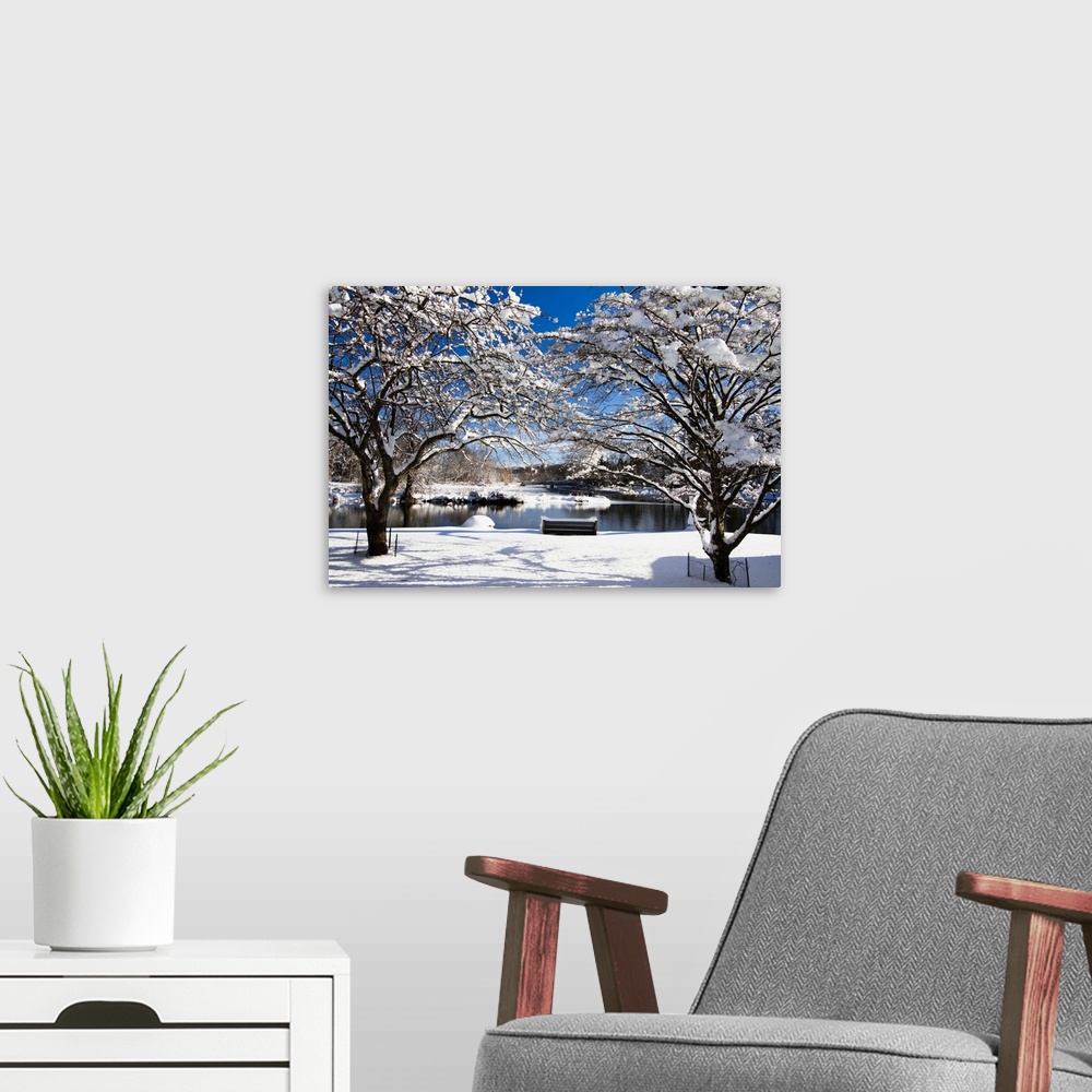 A modern room featuring Snow covered trees, winter scenic, South Branch of Raritan River, Clinton, New Jersey.