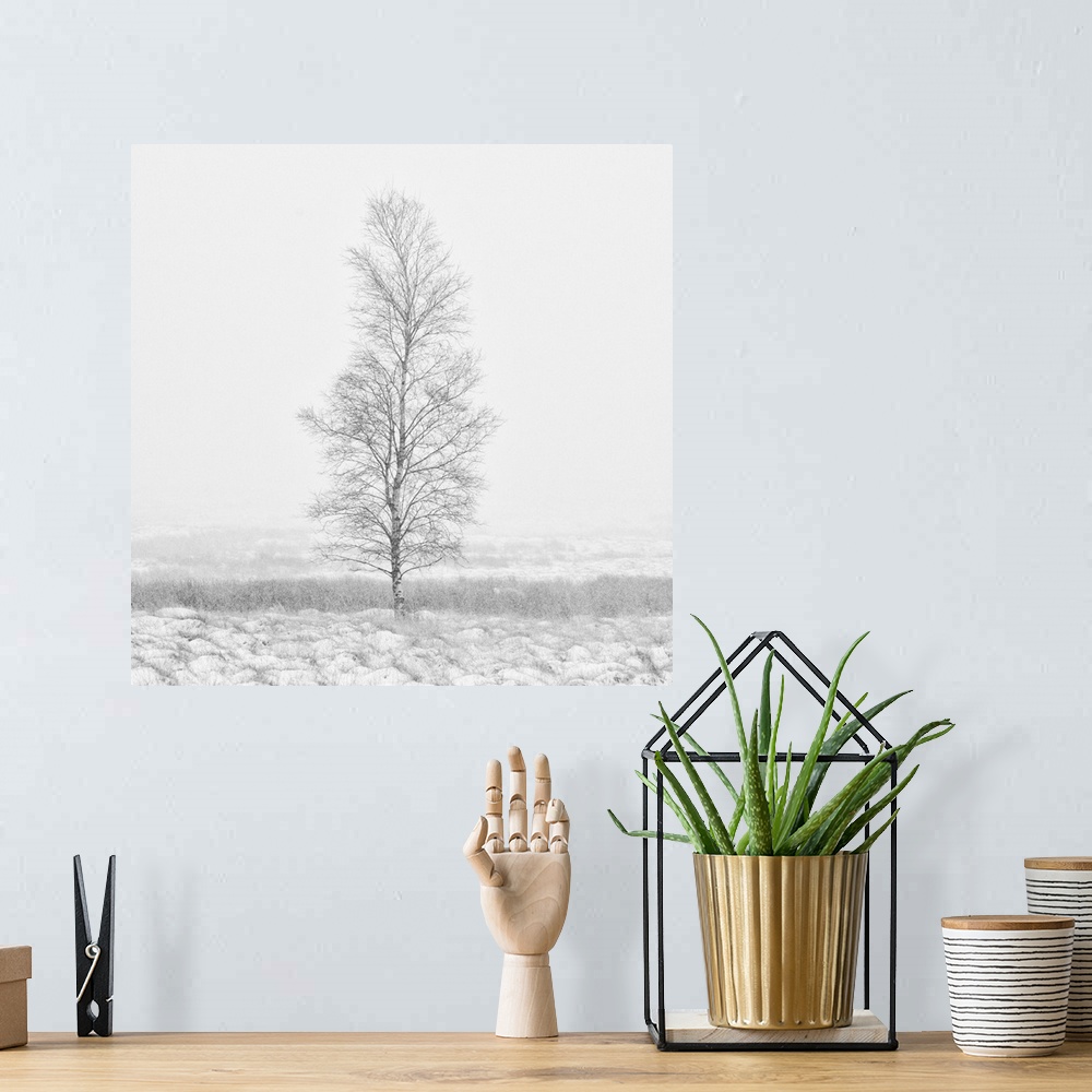 A bohemian room featuring A calm snow filled landscape with a single bare tree tree.