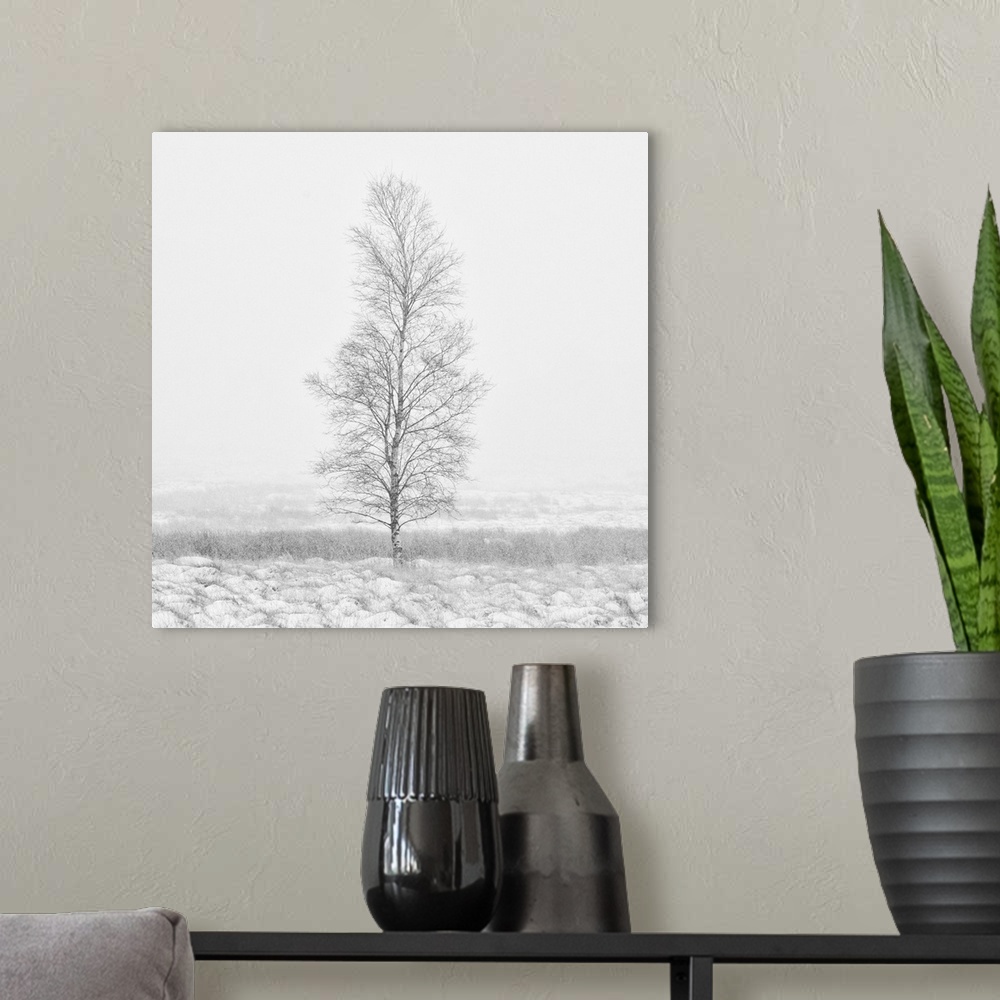 A modern room featuring A calm snow filled landscape with a single bare tree tree.