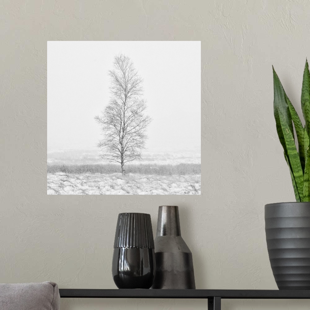 A modern room featuring A calm snow filled landscape with a single bare tree tree.