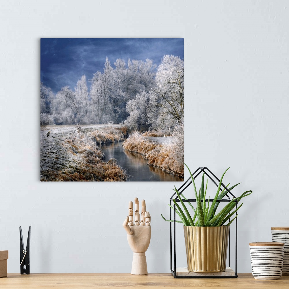 A bohemian room featuring Snow and frost cover a beautiful landscape of land and trees that has a small stream cutting thro...