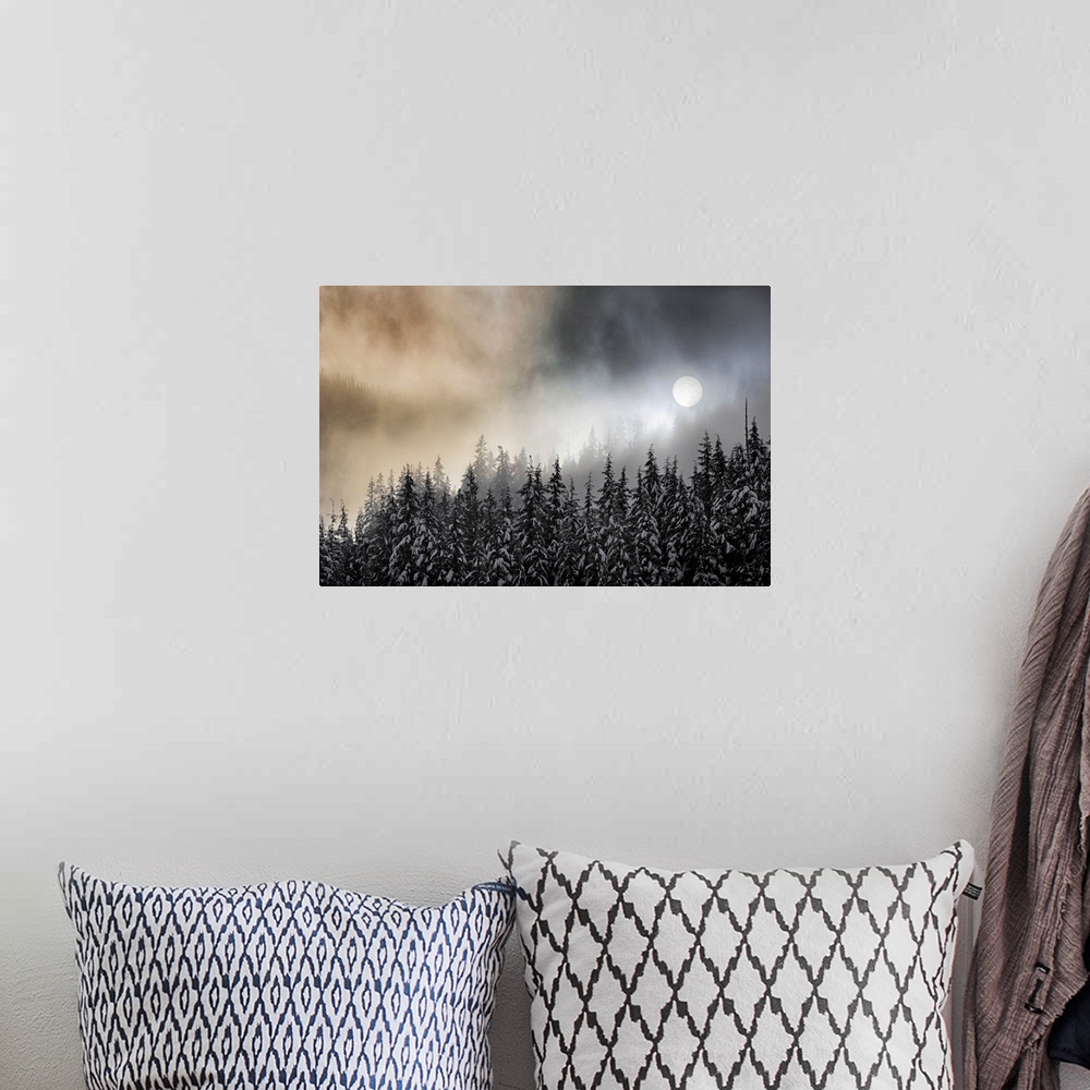 A bohemian room featuring Photograph of the sun, viewed through winter fog over snow covered trees.