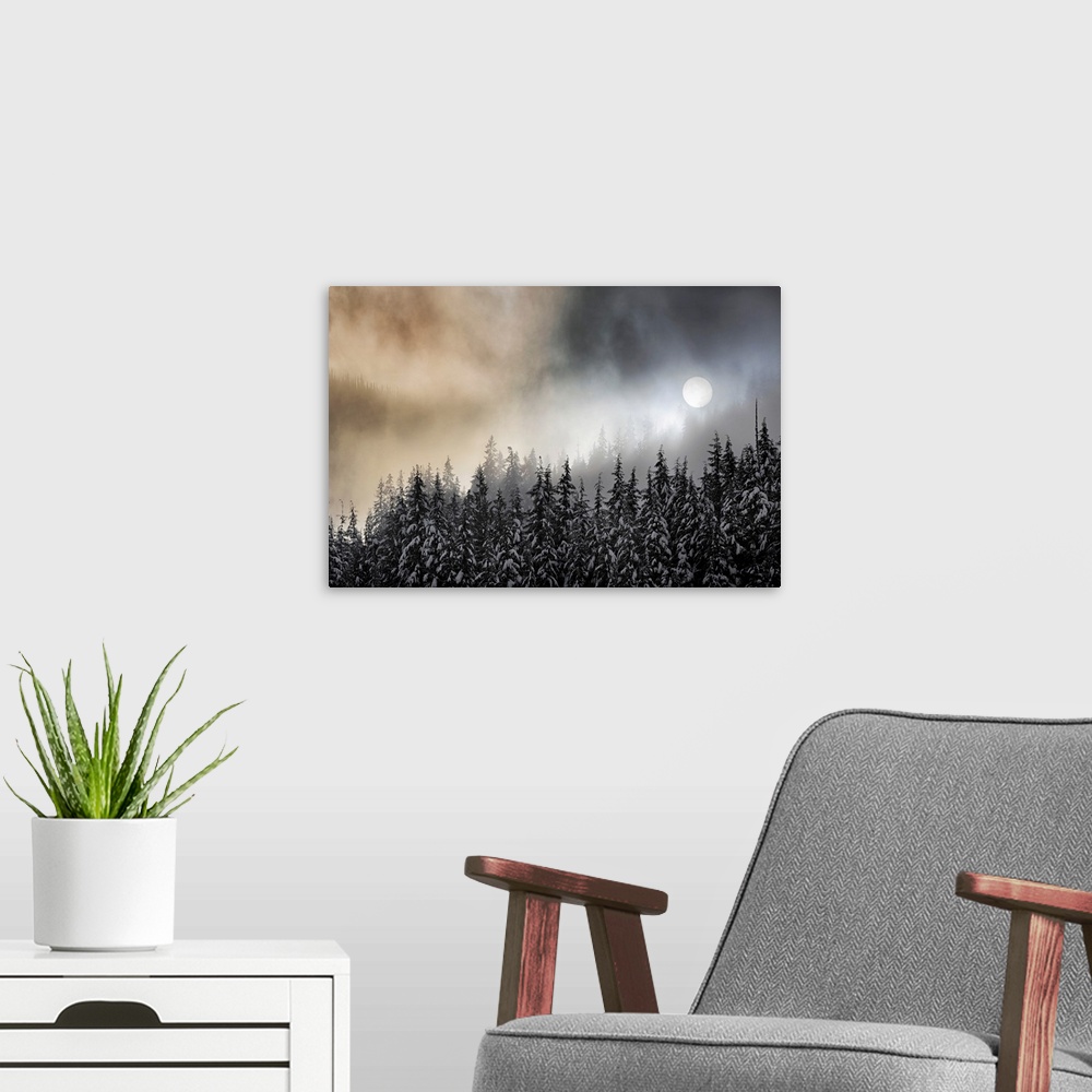 A modern room featuring Photograph of the sun, viewed through winter fog over snow covered trees.