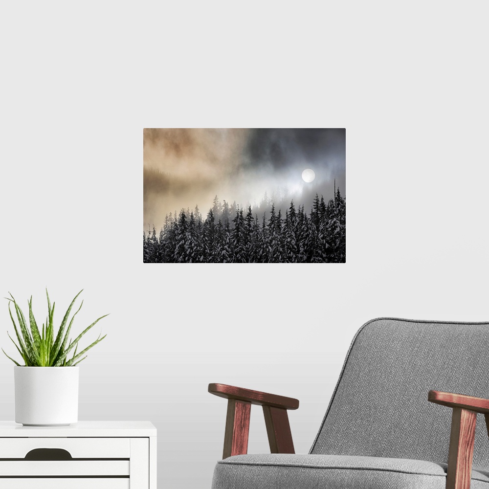 A modern room featuring Photograph of the sun, viewed through winter fog over snow covered trees.