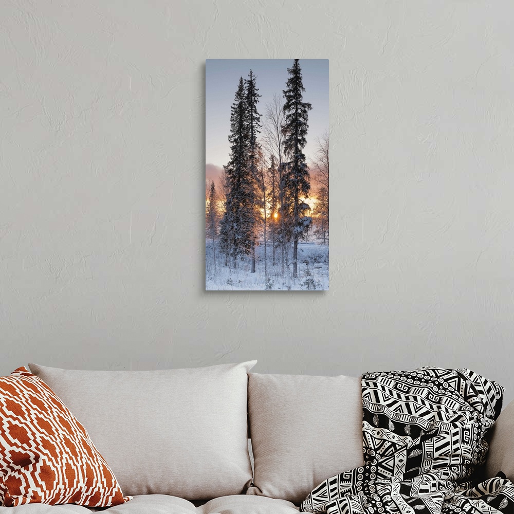 A bohemian room featuring A winter dawn in gold with the sun shining through frost covered trees in the snow.