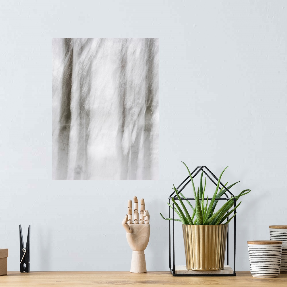A bohemian room featuring Abstract photo of a cluster of trees that has been edited to illustrate a motion blur effect.