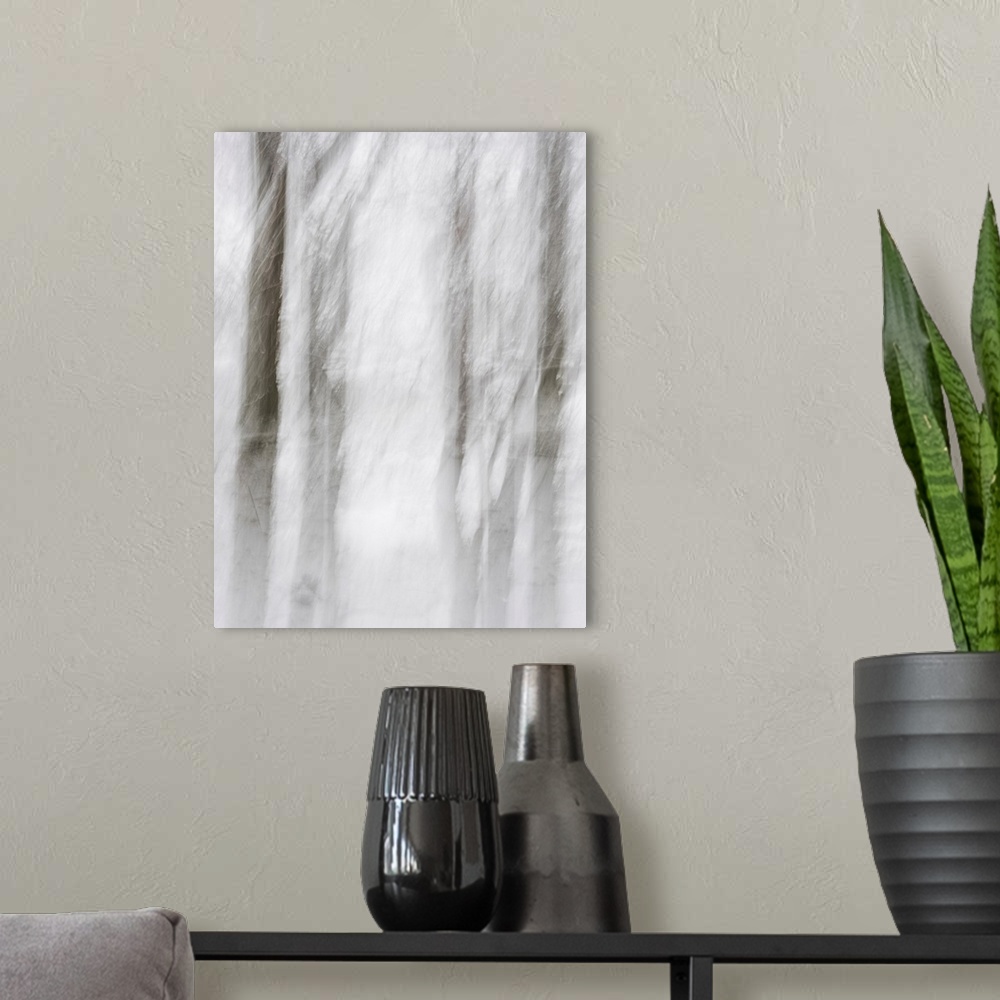 A modern room featuring Abstract photo of a cluster of trees that has been edited to illustrate a motion blur effect.
