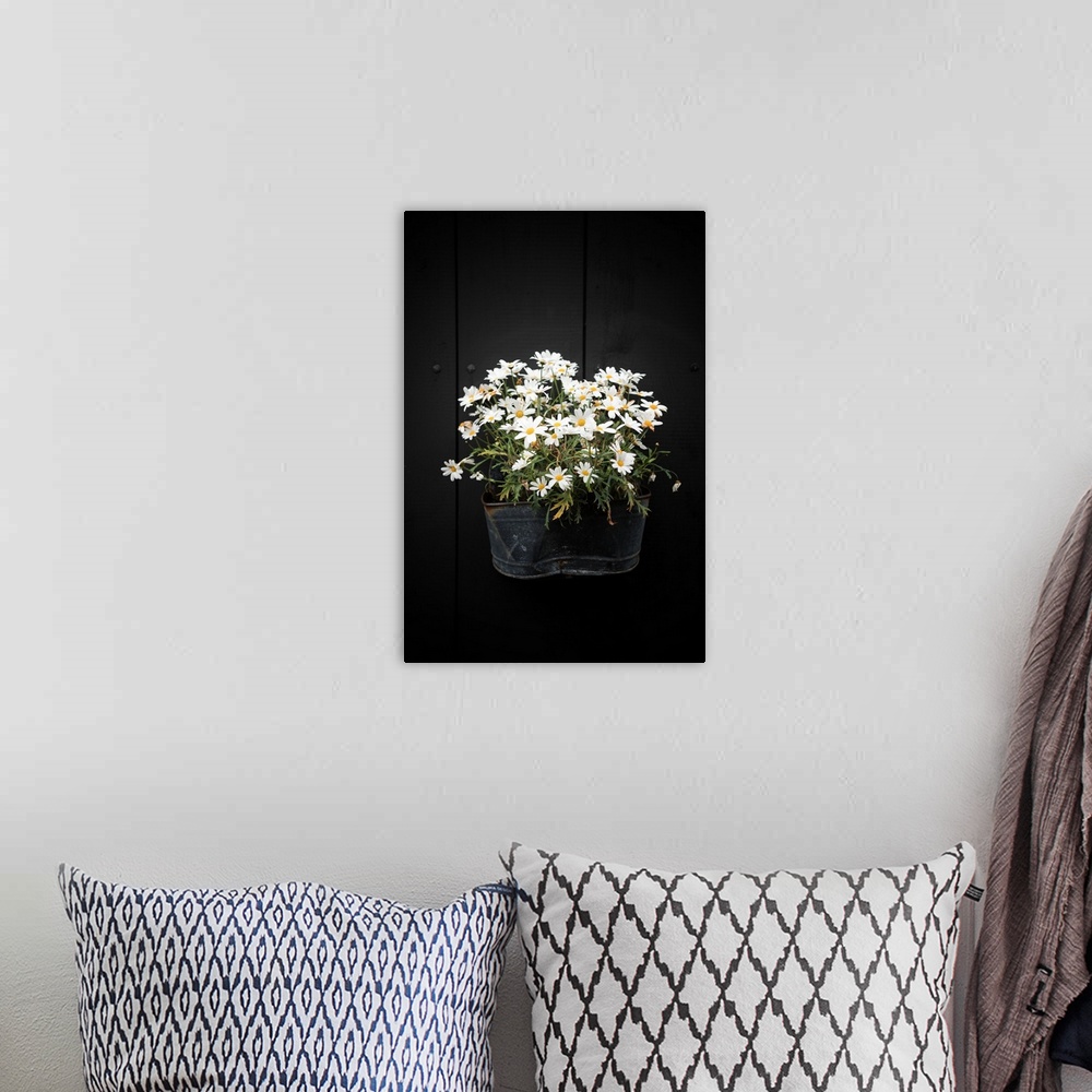 A bohemian room featuring A planter on the side of a black wall holding several white flowers.