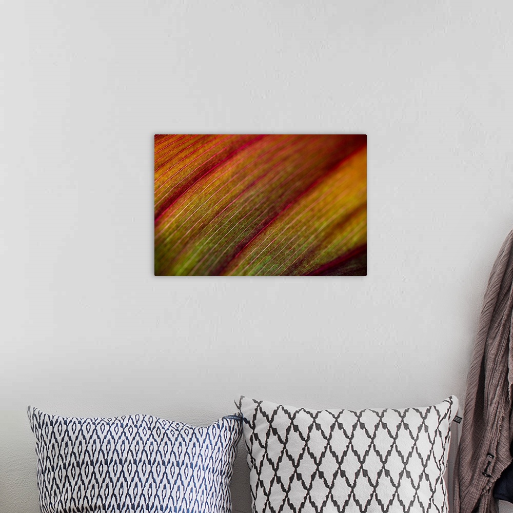 A bohemian room featuring Abstract artwork of a closely taken photograph of a plant. Veins in the plant are visible and app...