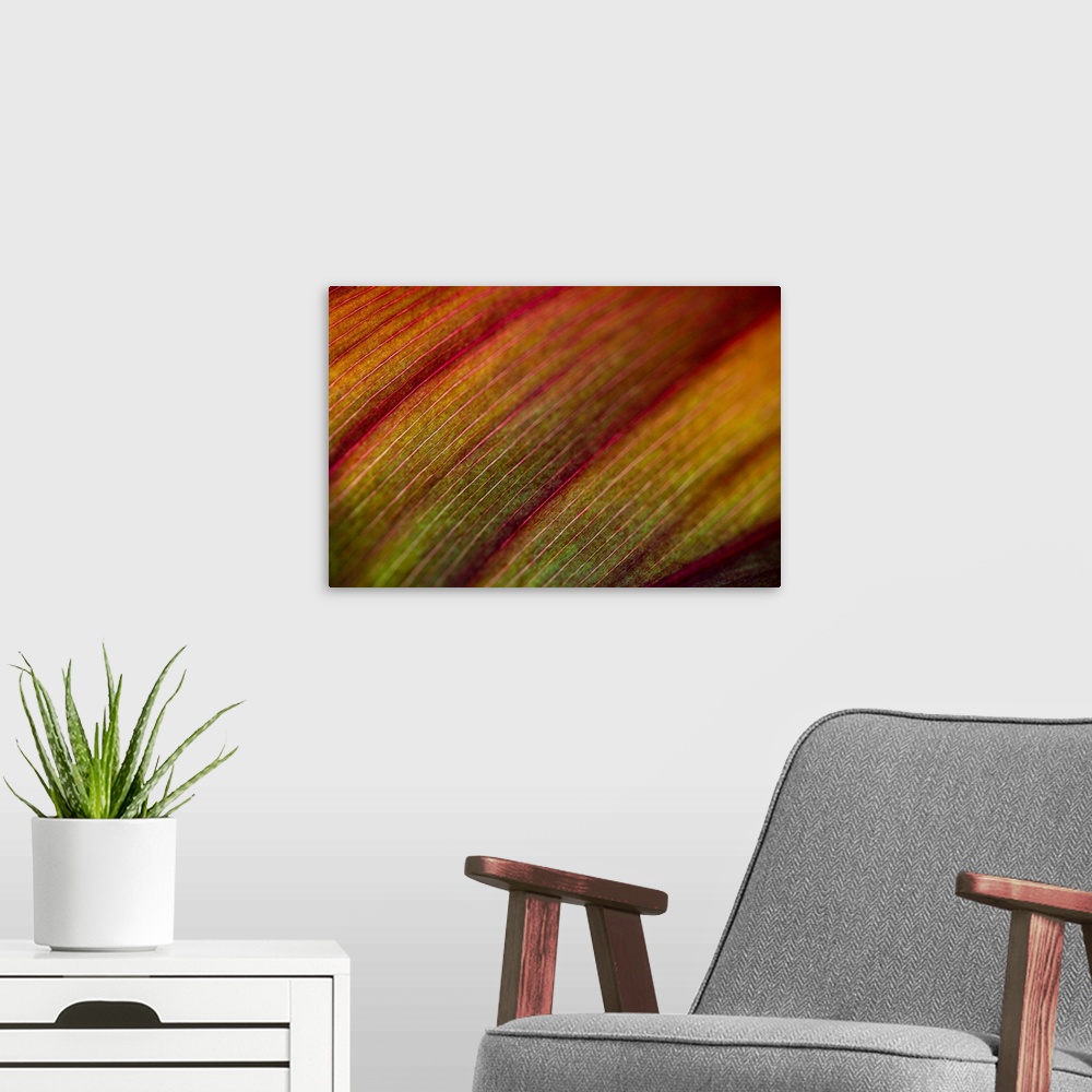 A modern room featuring Abstract artwork of a closely taken photograph of a plant. Veins in the plant are visible and app...