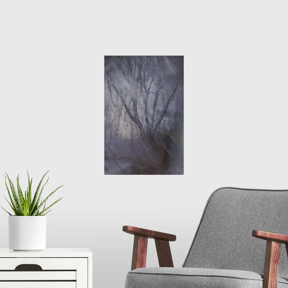 A modern room featuring Dreamy photograph of trees in the woods with blurry snowfall in the foreground.