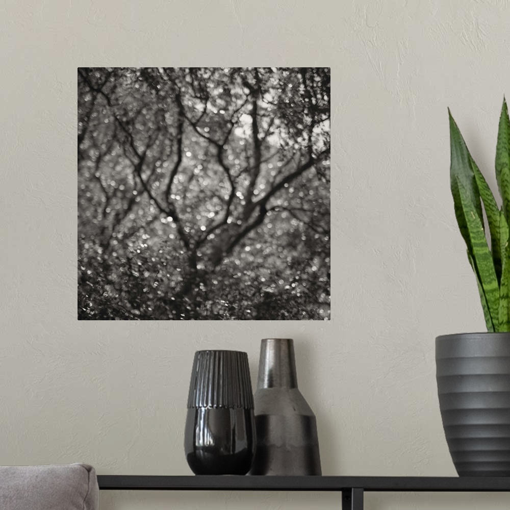 A modern room featuring A monochrome black and white sepia toned impressionistic soft focus blurred image of trees in a w...