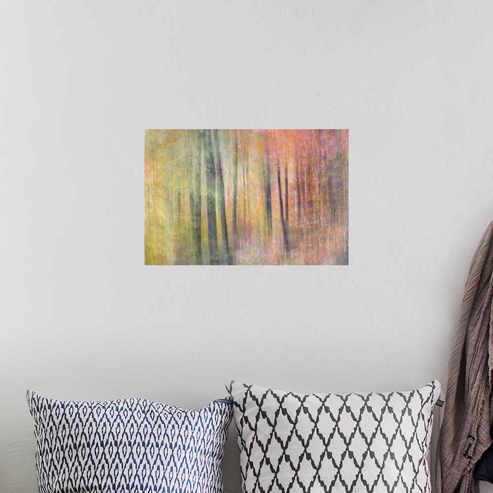 A bohemian room featuring Dreamy abstract photograph of woods with a soft, colorful overlay.