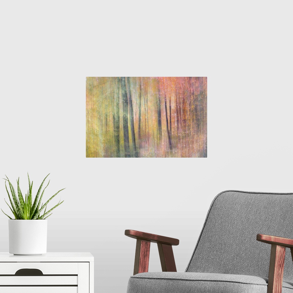 A modern room featuring Dreamy abstract photograph of woods with a soft, colorful overlay.