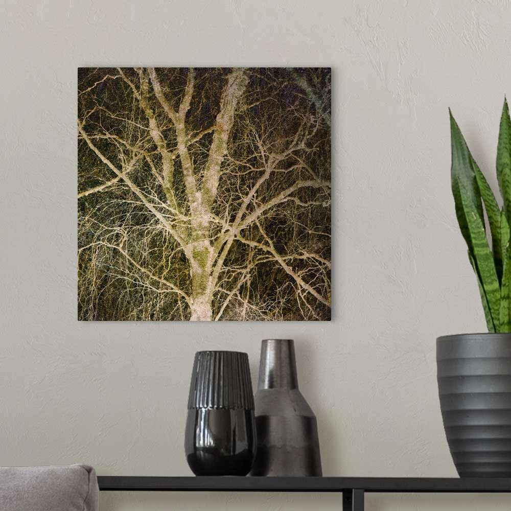 A modern room featuring Square photograph of a tree with a lot of branches with a manipulated gold overlay and a dark bac...