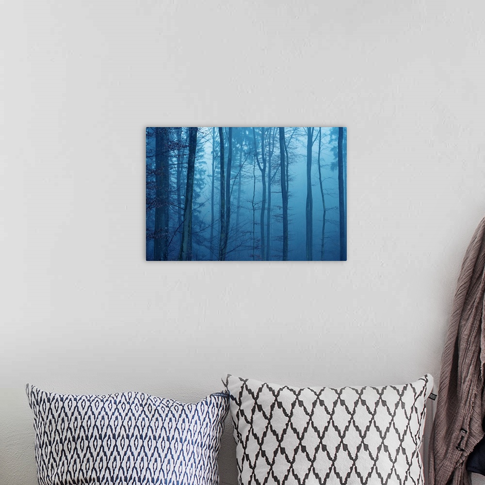 A bohemian room featuring Blue mood in a forest with fog