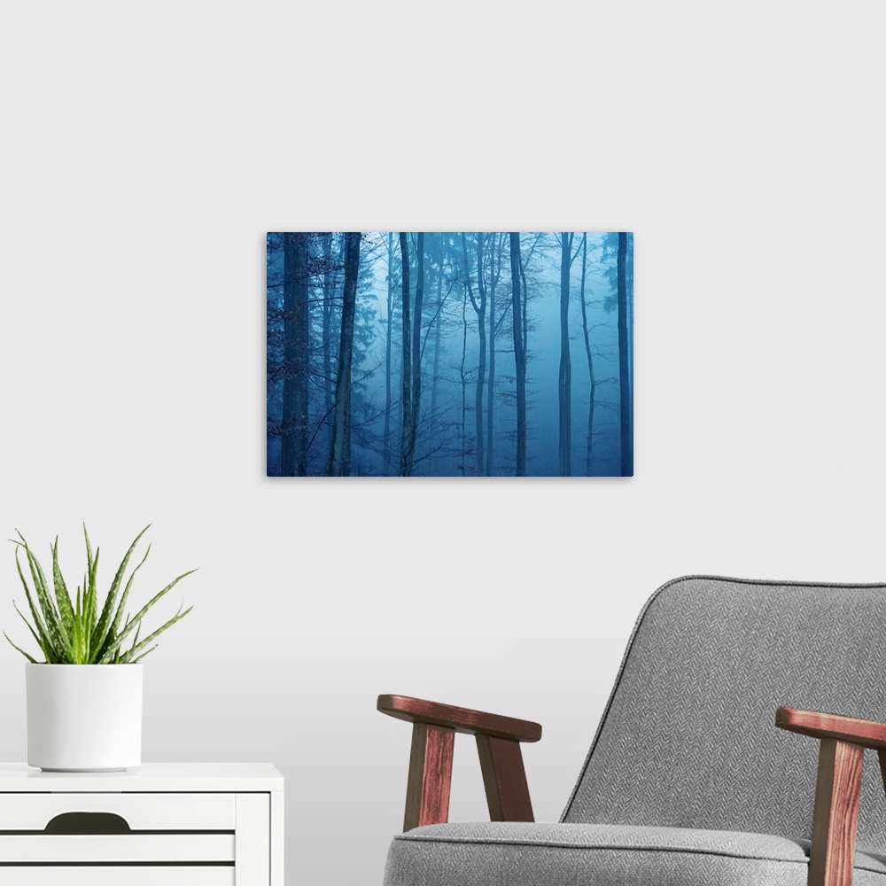 A modern room featuring Blue mood in a forest with fog