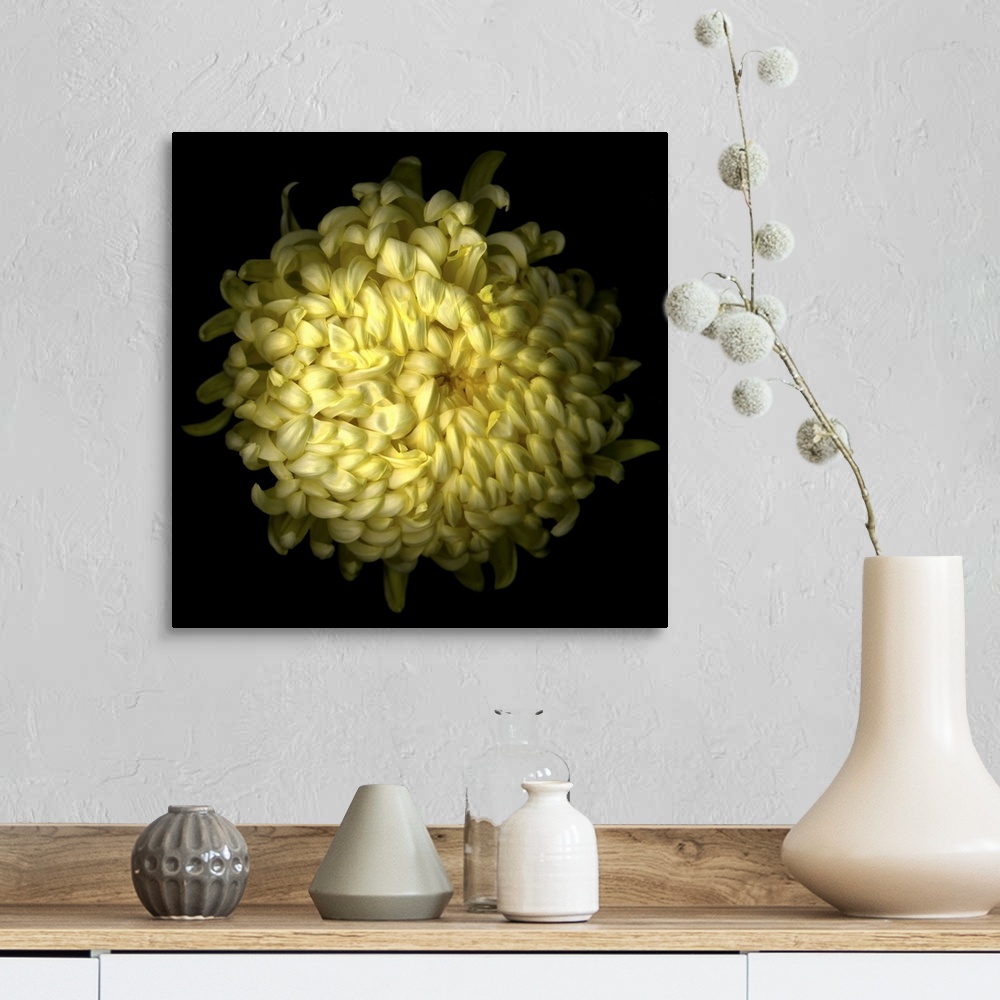 A farmhouse room featuring Yellow Chrysanthemum I