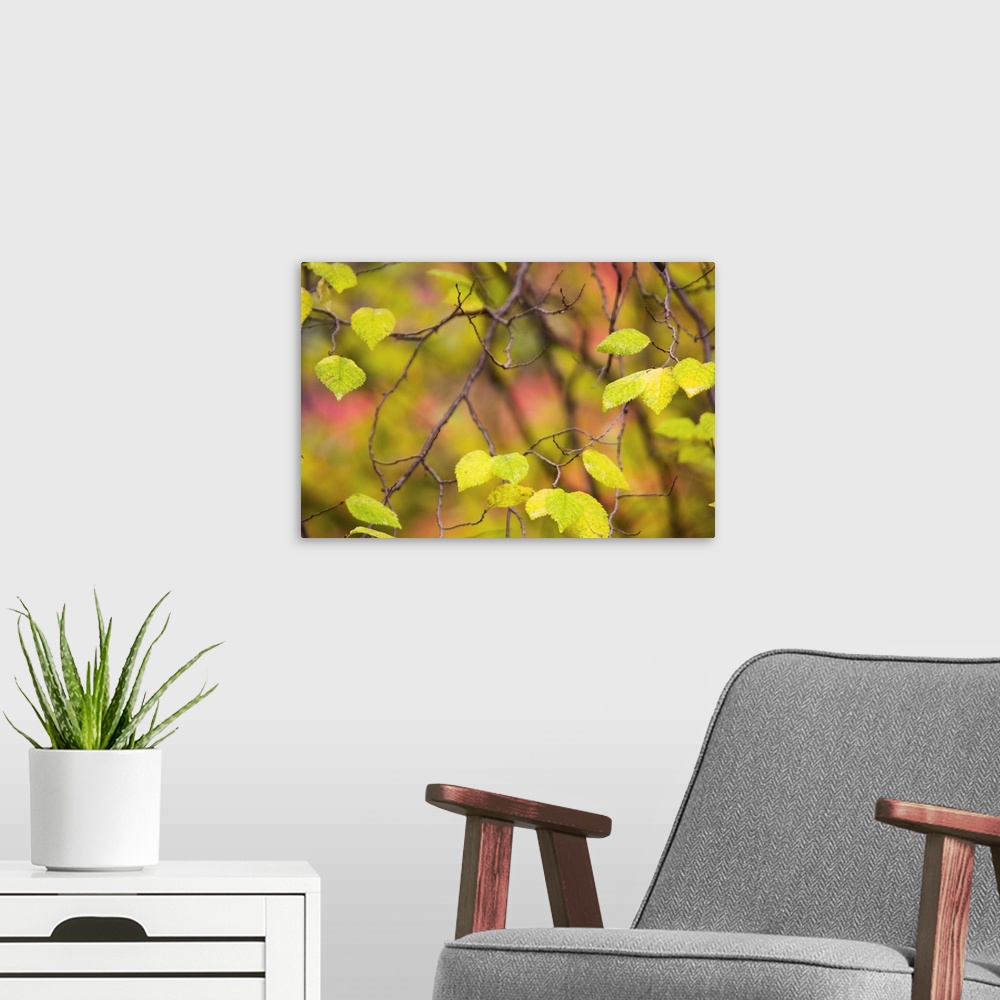 A modern room featuring Yellow Leaves