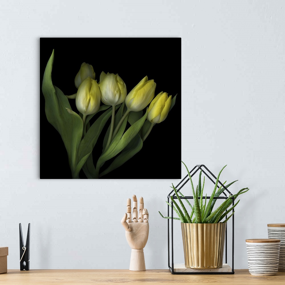 A bohemian room featuring Yellow Tulips III