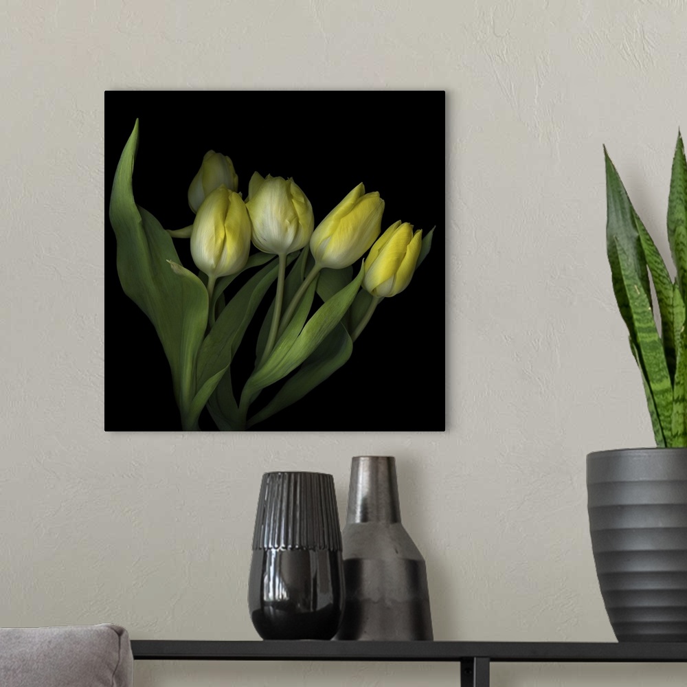 A modern room featuring Yellow Tulips III