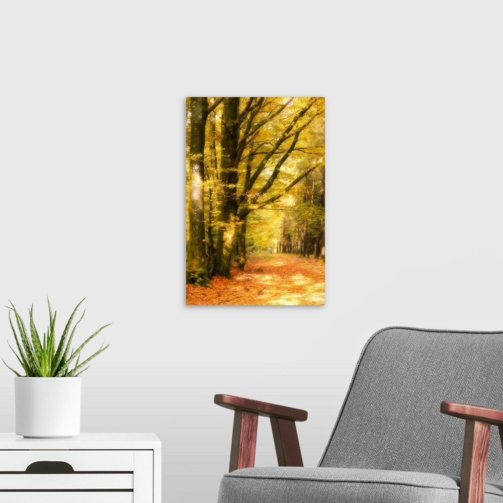 A modern room featuring Vertical photograph with a painted feel, of Autumn woods with yellow leaves on the trees and red ...