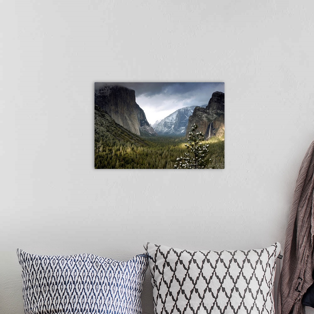 A bohemian room featuring Huge photograph displays a wide open valley within a national park in California densely covered ...