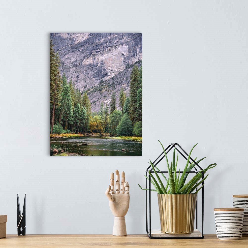 A bohemian room featuring The beautiful Merced River flowing in Yosemite National Park framed by converging fall and evergr...