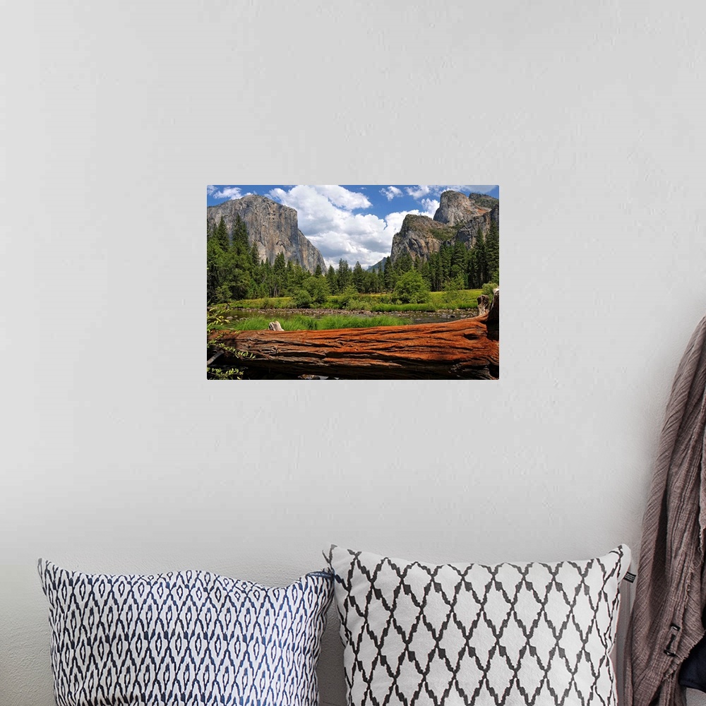A bohemian room featuring Giant photograph of Yosemite Valley on a sunny day with a fallen tree trunk and pond in the foreg...