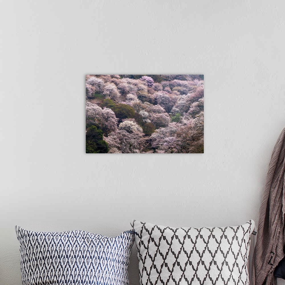 A bohemian room featuring Fine art photograph of blossoming pink cherry trees in Yoshino, Japan.
