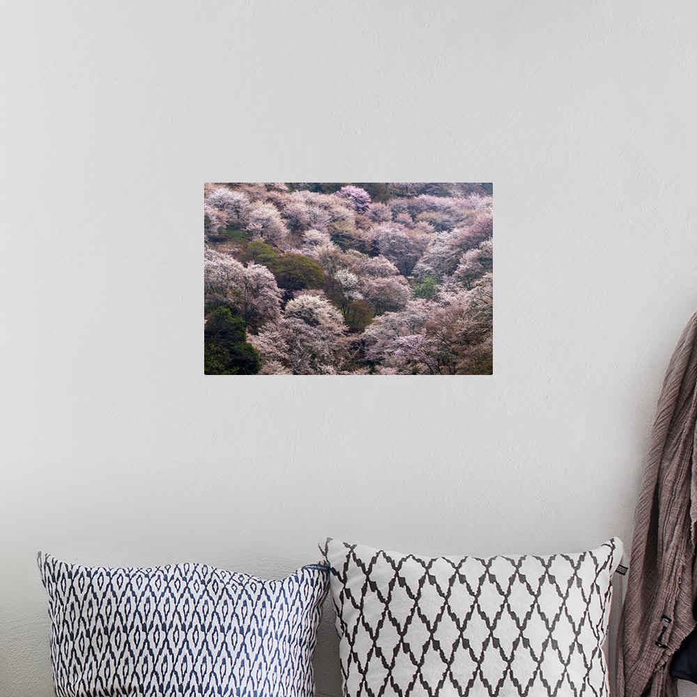 A bohemian room featuring Fine art photograph of blossoming pink cherry trees in Yoshino, Japan.