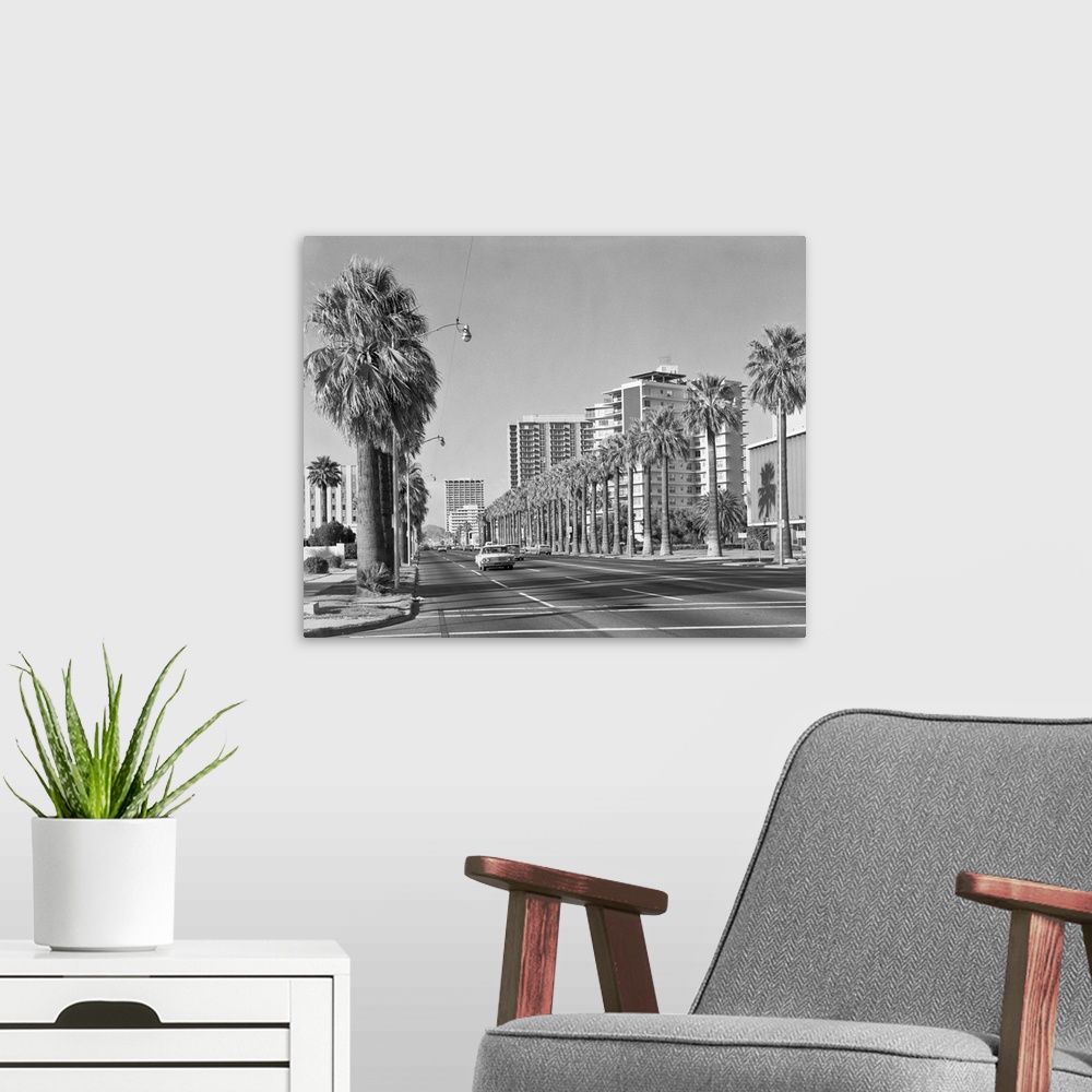 A modern room featuring 1960's Rows Of Palm Trees Central Avenue Phoenix Az USA.