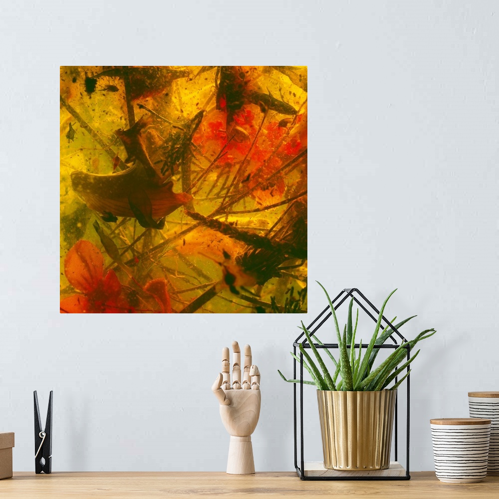 A bohemian room featuring Square image printed on canvas of an abstract representation of vegetation.