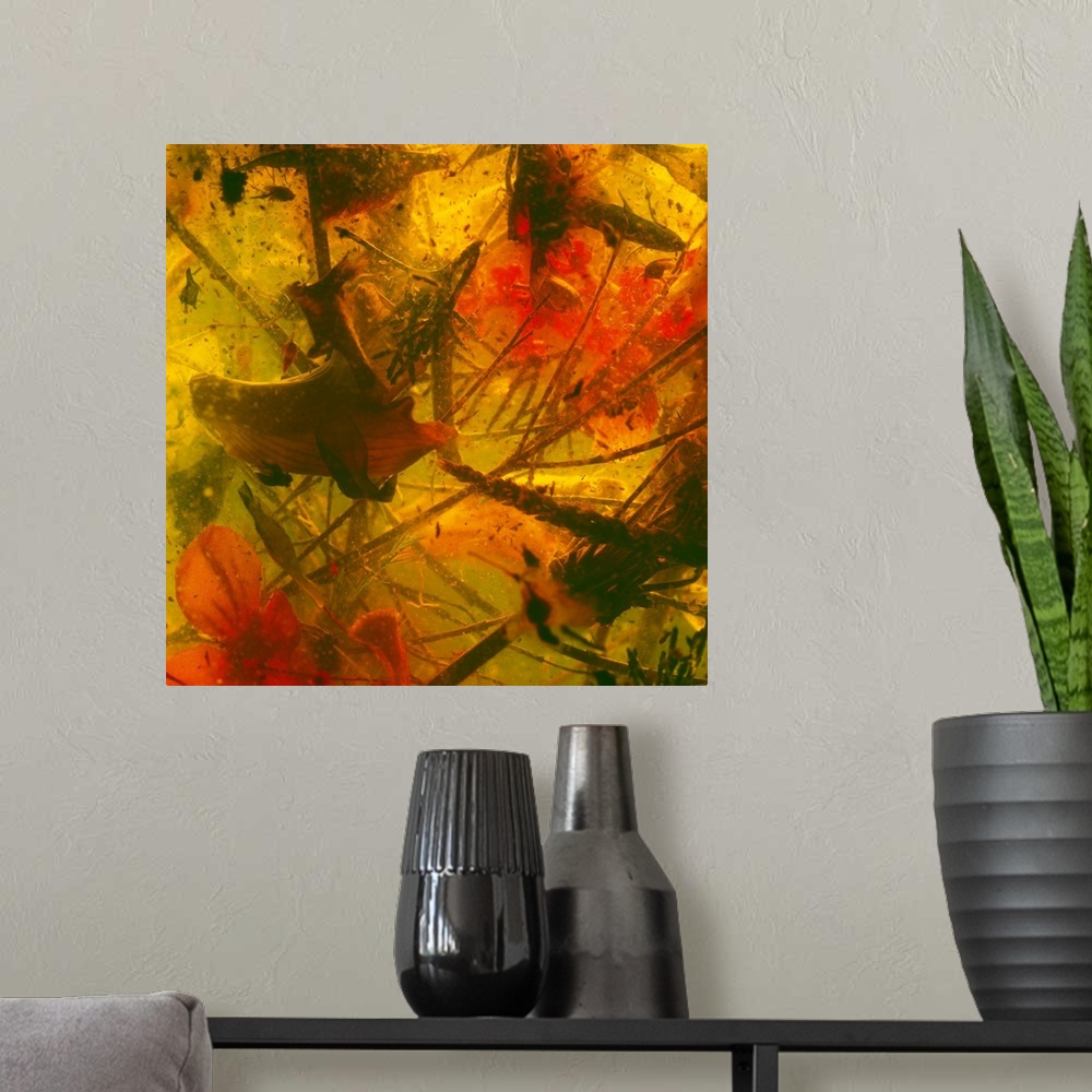 A modern room featuring Square image printed on canvas of an abstract representation of vegetation.